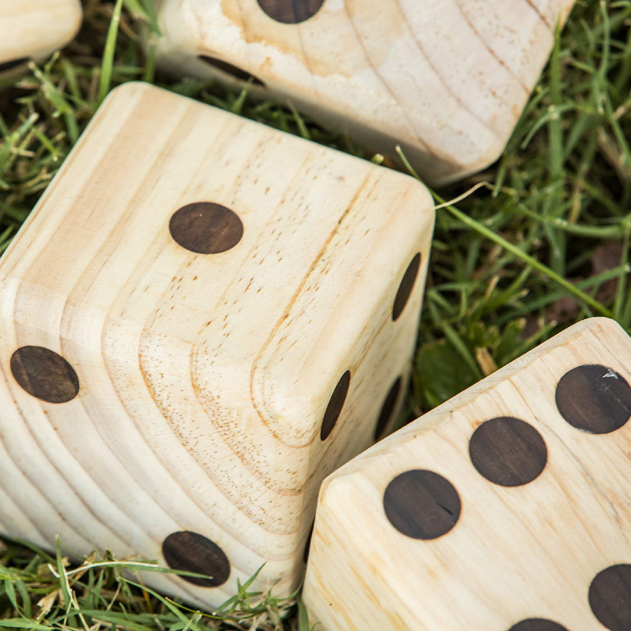 Mega Dice photo 2 of 3